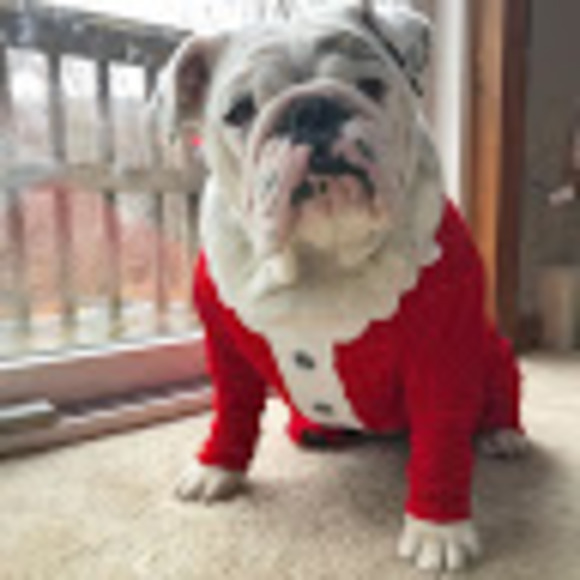 bulldogmom0121